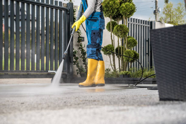 Best Gutter Cleaning  in Halifax, VA